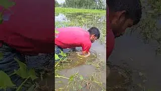 Traditional  Polo Fishing