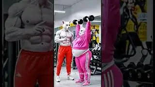 Motivational Cat Story 🐱 | Fat to Fit Transformation | Hard Work Always Pays Off #shorts