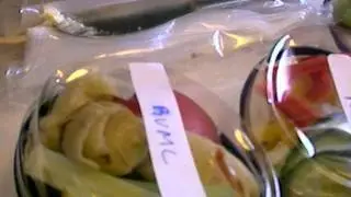 vegetable meal and low calorie meal on Japan Airline