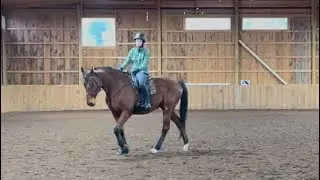Shelbie Fredenhagen Clinic || 12-08-2024