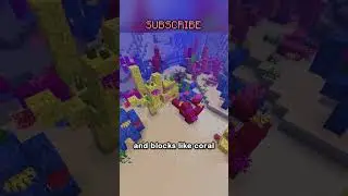 the camman18 rarity level