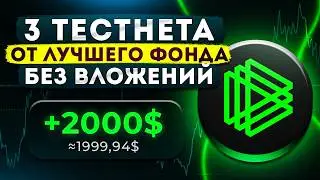 3 ЛУЧШИХ ТЕСТНЕТА НА 1000$ ОТ PARADIGM! ПОДРОБНАЯ ИНСТРУКЦИЯ