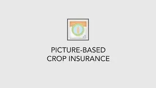 Picture-Based Crop Insurance
