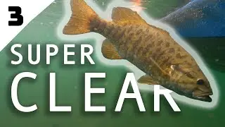 Bass Fishing SUPER CLEAR Northern Wisconsin Lakes | Ep. 3 CTT