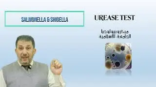 Urease