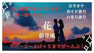【カラオケ】花/藤井風【男性＆女性キー下げ−２〜上げ＋５】【ガイド付き歌詞付きハモリ付き】キー設定に迷っている方へ