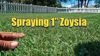 Spraying Lawn Liquid Fertilizers and Supplements
