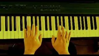 Sapato Velho - Marcelo Meireles