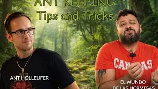 Ameisentalk mit Ant Holleufer und El Mundo de las Hormigas