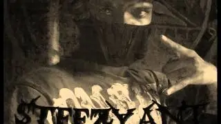 Fall of da Sun rmx Ft.Steezy Ant