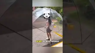 No creer&aacute;s el extra&ntilde;o paraguas de esta chica ☂️😯