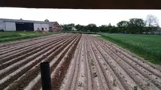 Opylanie ziemniak&oacute;w 2019 ursus c-360
