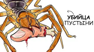 Ты – Фаланга (И ЭТО ВСЯ ТВОЯ ЖИЗНЬ)