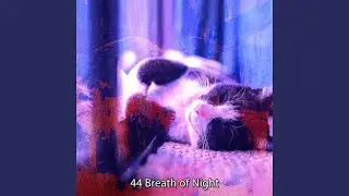 Lifted Into Dreams