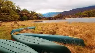Frank - Into the Wild Survival . ie