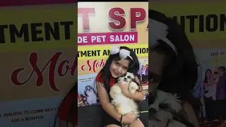 Drools best food for puppies #shorts #short #viralshorts #trending #drool#puppy #food #youtubeshorts