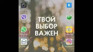 Доход в компании Elysium