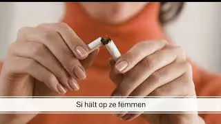 Verben 2.2 (ufanken/ophalen/kashten)
