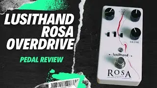 Lusithand Rosa Bass Overdrive - Vintage style distortion - Pedal Review
