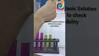Butterfly Pea Flower Color Change in Acid & Base Solutions | Khwarizmi Science Society