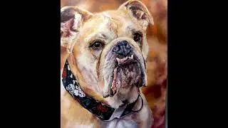 The Bulldog Photorealism Artwork by Ashley Caswell