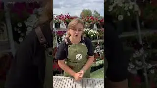 Organic phosphorus-potassium fertilizers #garden #dacha #vegetable garden #seedsaltai
