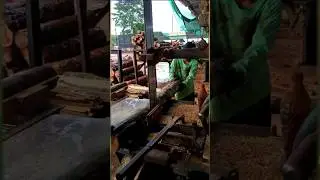 Bandsaw Machine Cutting Rubber Wood | Perfect Results