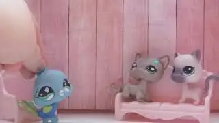 LPS Leather:lps opinions old and new