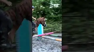 #horse #pony #horses #equestrian #ponylover #ponyfun #ponypower
