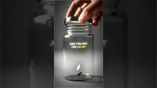 The Truth Behind The VIRAL Trapped Flea... 🤯🧠