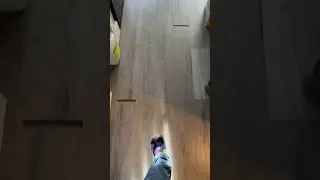 Flooring failed due to no leveling and poor installation.