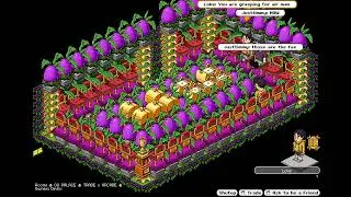 Loke Scammed  60 Maj Roll Habbo Origins