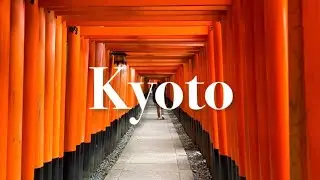 Kyoto3/Japan travel vlog/autumn/Fushimi Inari Shrine/sushi/Japanese food & sweets/restaurant/cafe