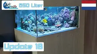 650 liter Zoutwater aquarium /Zeewater aquarium Update 18