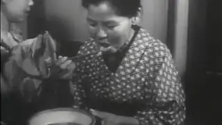 Common Fallacies About Group Differences (1957)