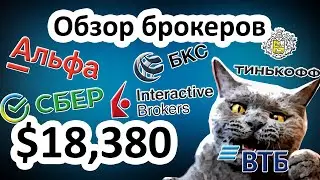 ✅ Как выбрать брокера? Обзор всех брокеров: Альфа, СБЕР, БКС, Тинькофф, ВТБ, Interactive Brokers IB.
