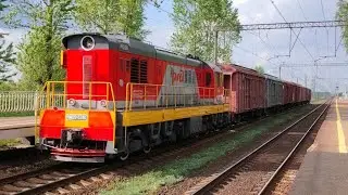 ЧМЭ3-5316 с мини грузовым поездом. Суйда!