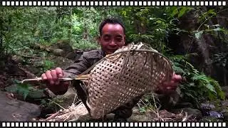 A Dramatic Night Hunt of Wild Rats in the Deep Forest