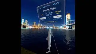RVRF UE⑬Brooklyn Bridge, NY ▽Spiny Dogfish 多刺短吻角鯊+環景一圈