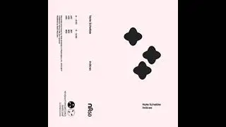 Nate Scheible - Indices (Full Album)