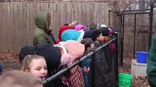 Student Wolf Unit | Muffley Elementary