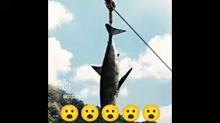 this __#short __video__is very☠️☠️☠️🤫most__populalur move_ name
