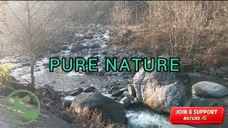 Pure River Flow | Natural Water Sounds for Deep Relaxation