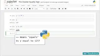 Python Double Equals (==) Operator Explained | Comparison in Basic Syntax (Beginner Guide)