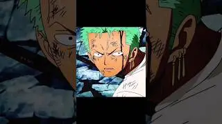 Zoro's face when he saw sanji got hurt