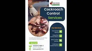 * 30% OFF * Best Cockroach control service in the Danforth and Scarborough Toronto.