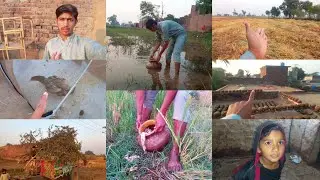Gaon Mein Aaj Kall Meri Routine || Shajaat Pendu 