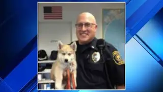 Doctors discuss Flint airport officer's condition after stabbing
