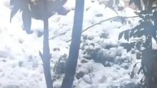 Gülümse Mutlu Ol  kanalı canlı yayında