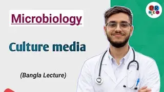 Culture media | Bacterial Culture | General bacteriology | Microbiology bangla lecture